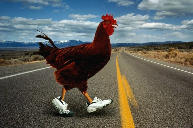 Migliore chicken road italia a Italy