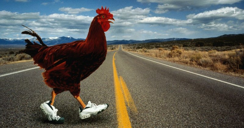 Chicken road online in Spain